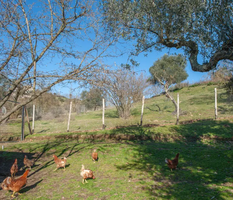 Area sosta camper Manivera Roma